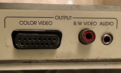 The two video ports: one D-Sub 15 reading "color video" and the other an RCA jack reading "B/W video." There's also a mini-jack audio output.