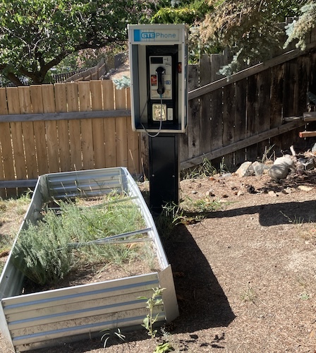 What kind of person has a pay phone in their yard?