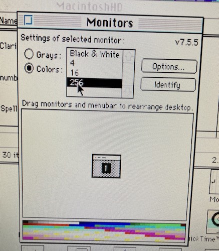 The colour depth options available in the Monitors control panel. Under "Colors:" (sic) it lists "256."