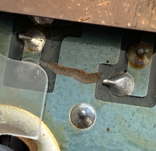 A close-up of the previous shot. You can also see what appears to be a cold, corroded solder joint here.