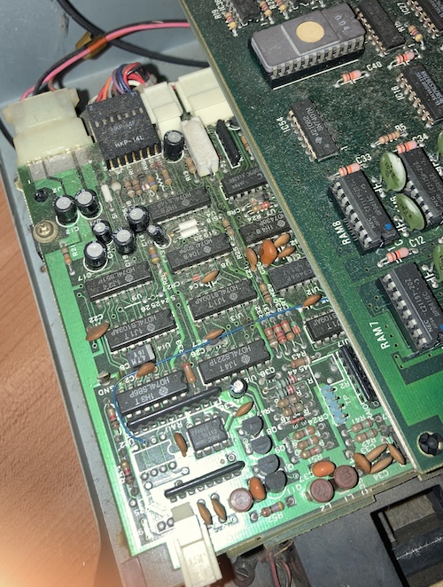 The Origin of the Species | Leaded Solder