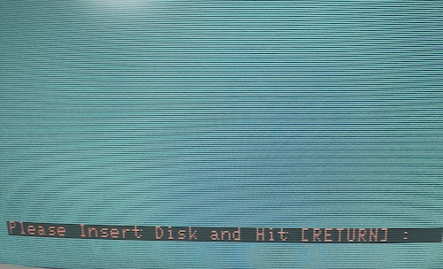 Blinking text at the bottom of the screen says Please Insert Disk and hit RETURN.